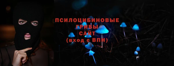 PSILOCYBIN Пересвет